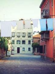 The Poisonous Doctor