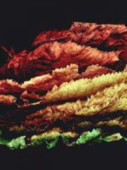 I have seven fairy g