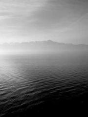 The Exclusive Daught