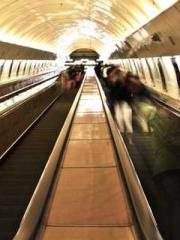 Shen Ning Ran Bo Jin