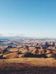 My pets are all amaz