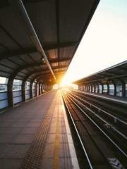 The Stand-in Wife Wa