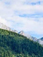 One Pregnancy, Two B