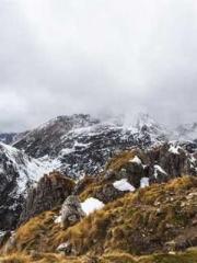 King of Nine Profoun