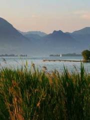 A Second Marriage Mo