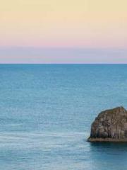 One Night Marriage P