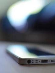 One Pregnancy, Two B