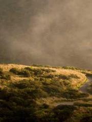 Chen Pingapos;an and