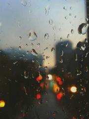 Ling Hao Qin Yuxin R