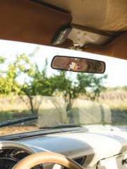 One Night Marriage P