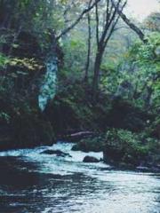 My pets are all amaz