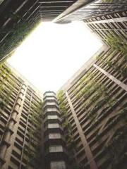 Wang Xuan Mu Qingyue