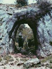 Super husband Lin Xi