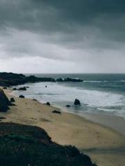 Wine, sex, money and