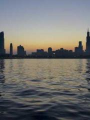 I learned to kill go