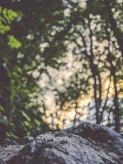 Rong Zhao Nanning Yu