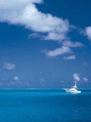 Saintly Gate Venerab