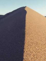 One Pregnancy, Two B