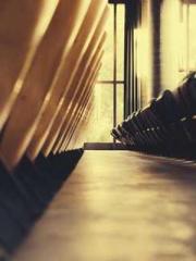 lt;Ye Qingyun, Tiany