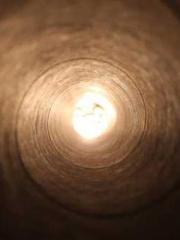 The Favorite Concubi