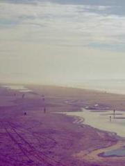 A Heavenly Gift: The